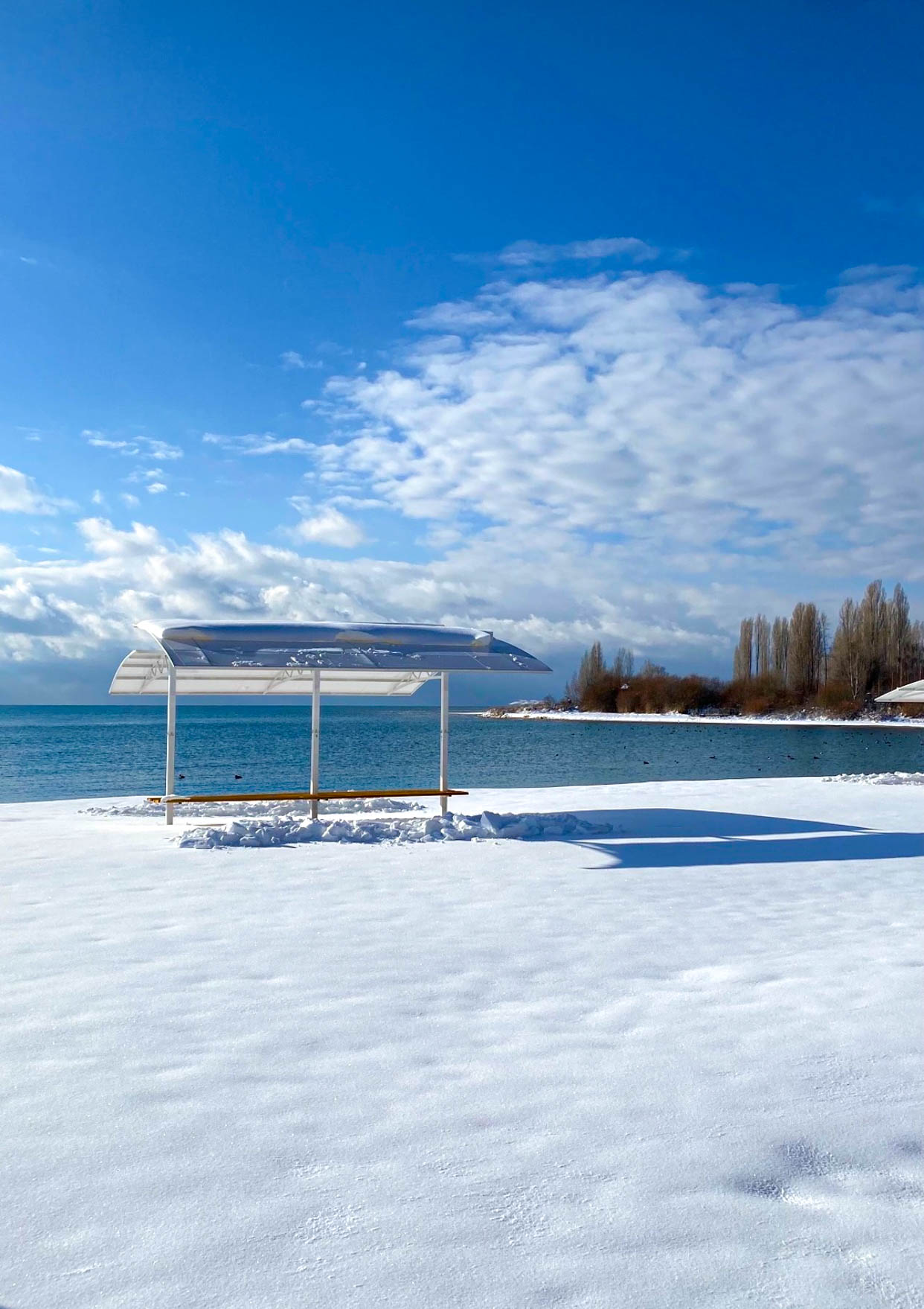 Панорама резорта Чайка