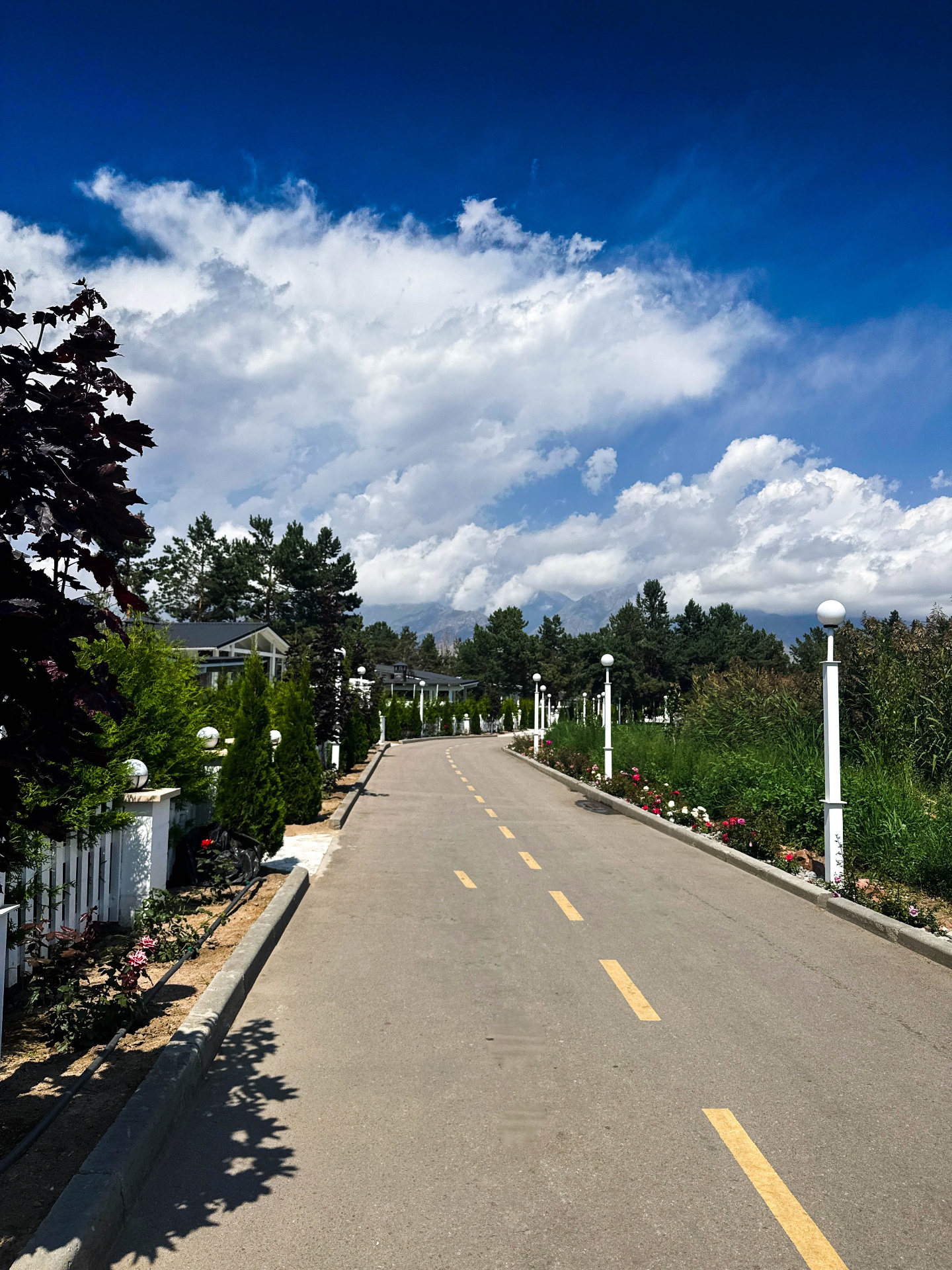 Панорама резорта Чайка